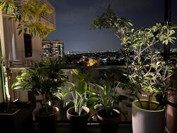 Seaside Residences (D15), Apartment #609031391